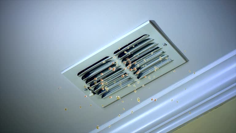 Best Air Duct Cleaning Near Me  in Seabrook, SC