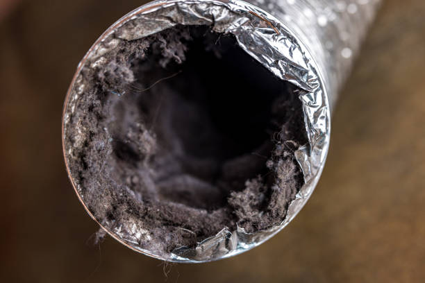 Best Emergency Air Duct Cleaning  in Seabrook, SC